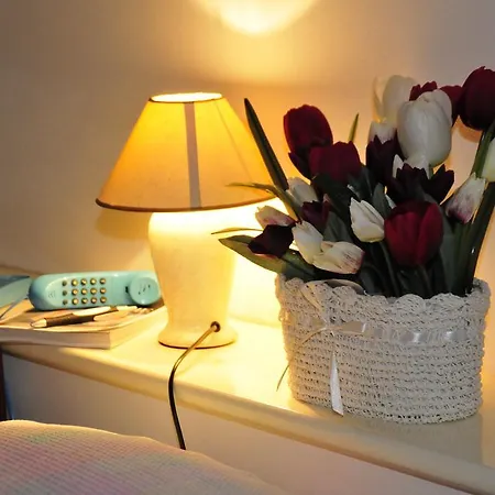 Casablanca Bed and breakfast