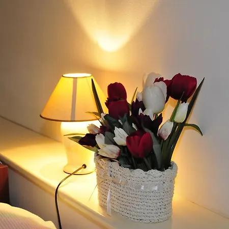 Casablanca Trebaseleghe